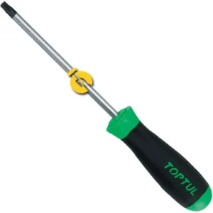 Tournevis bout Torx en T 25×100 mm